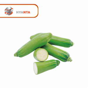 Petit courgette (lot de 7)